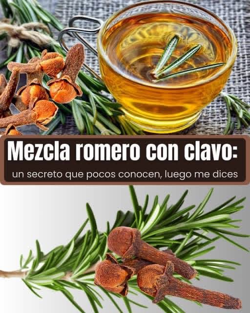 WhatsApp Image 2026 02 04 at 01.11.16