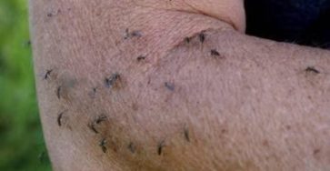 WhatsApp Image 2026 02 19 at 21.20.37