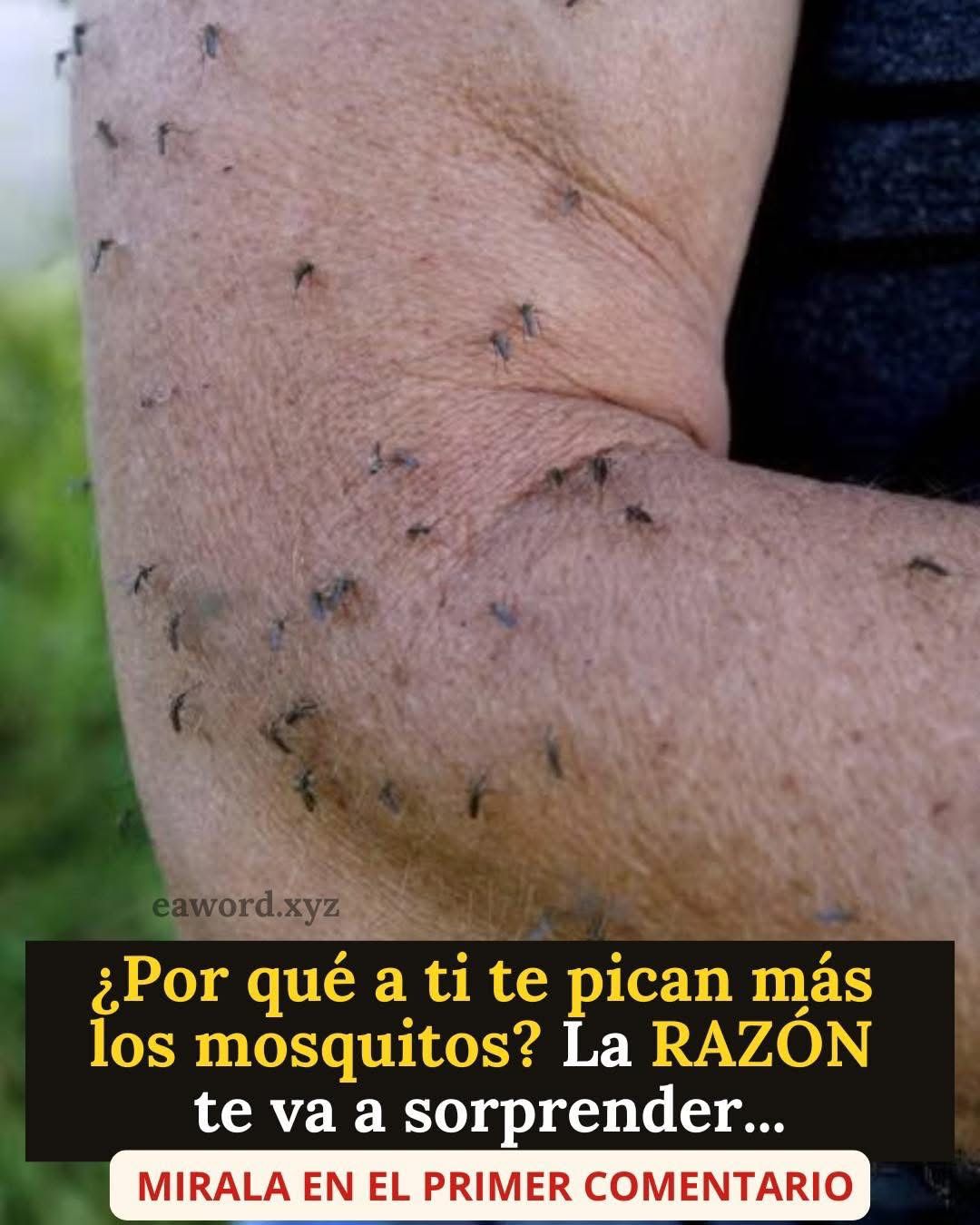 WhatsApp Image 2026 02 19 at 21.20.37