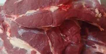 WhatsApp Image 2026 02 23 at 15.58.38 (1)