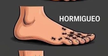 WhatsApp Image 2026 02 25 at 03.20.17