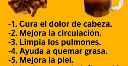 WhatsApp Image 2026 02 26 at 15.01.12