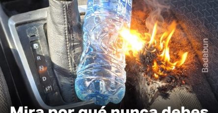 WhatsApp Image 2026 03 12 at 02.10.55