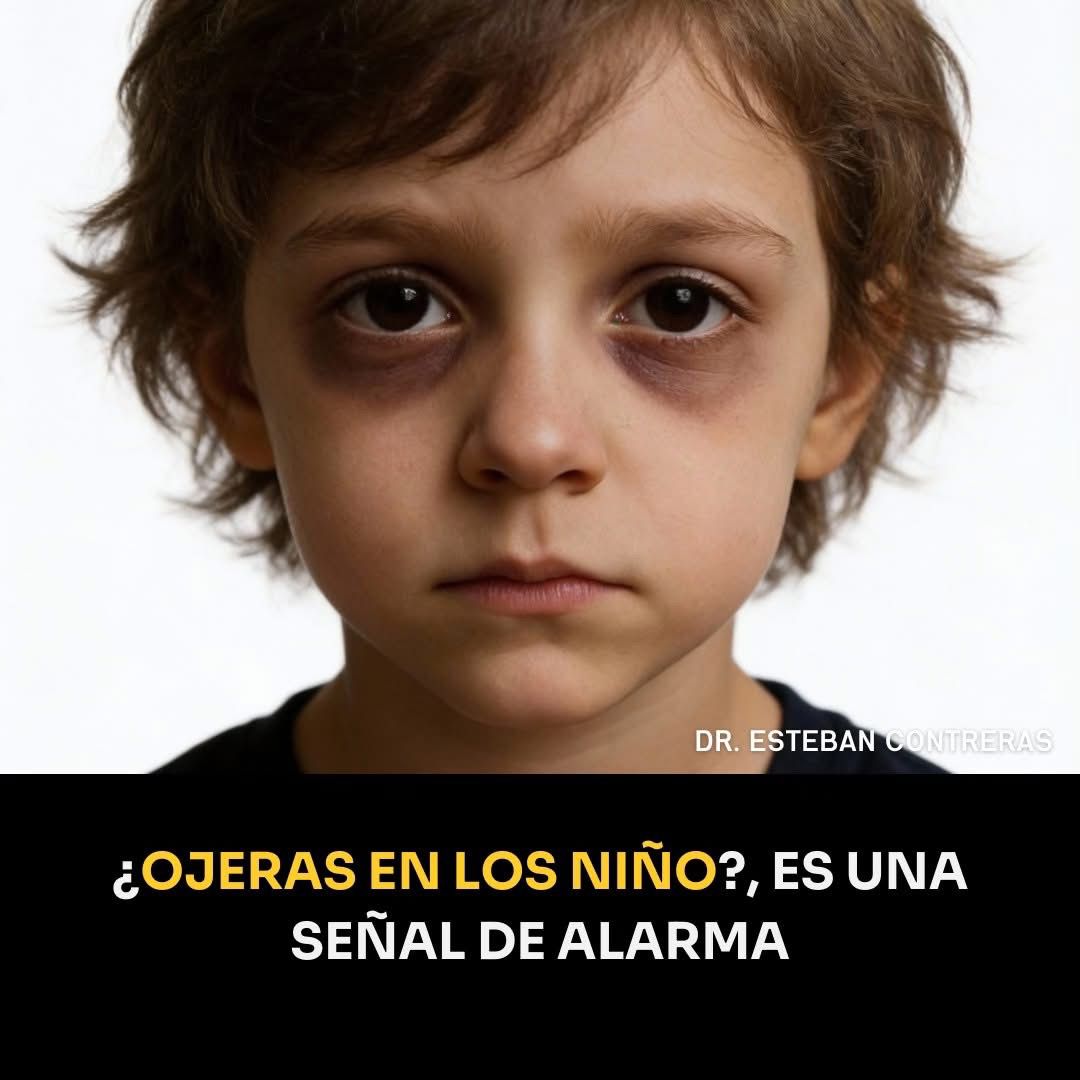 WhatsApp Image 2026 03 12 at 15.56.56