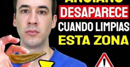 WhatsApp Image 2026 03 12 at 16.16.21