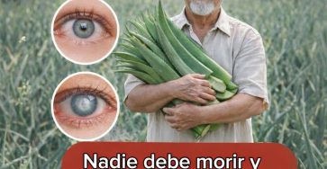 WhatsApp Image 2026 03 13 at 04.02.21