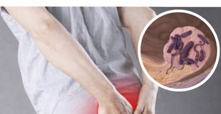 WhatsApp Image 2026 03 13 at 14.55.06 (1)