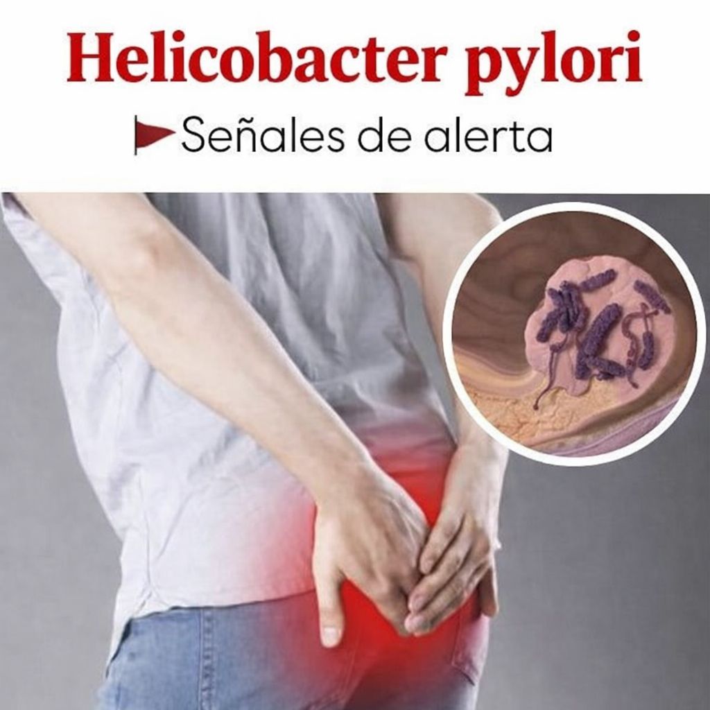 WhatsApp Image 2026 03 13 at 14.55.06 (1)