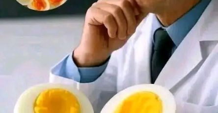 WhatsApp Image 2026 03 14 at 02.35.10