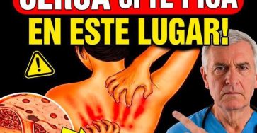 WhatsApp Image 2026 03 15 at 01.04.03