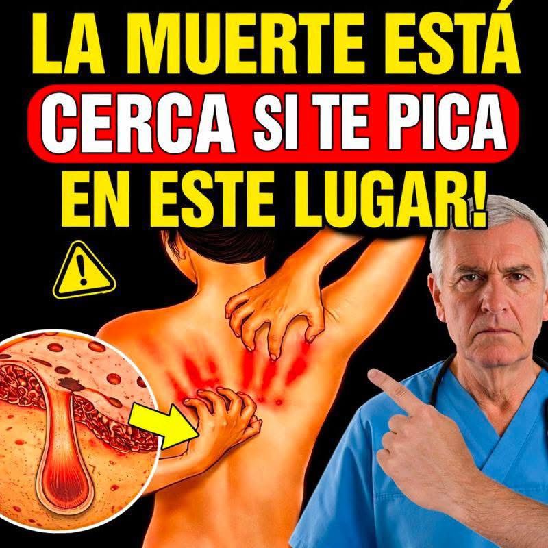 WhatsApp Image 2026 03 15 at 01.04.03