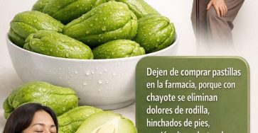 WhatsApp Image 2026 03 16 at 19.12.54