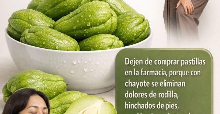 WhatsApp Image 2026 03 16 at 19.12.54