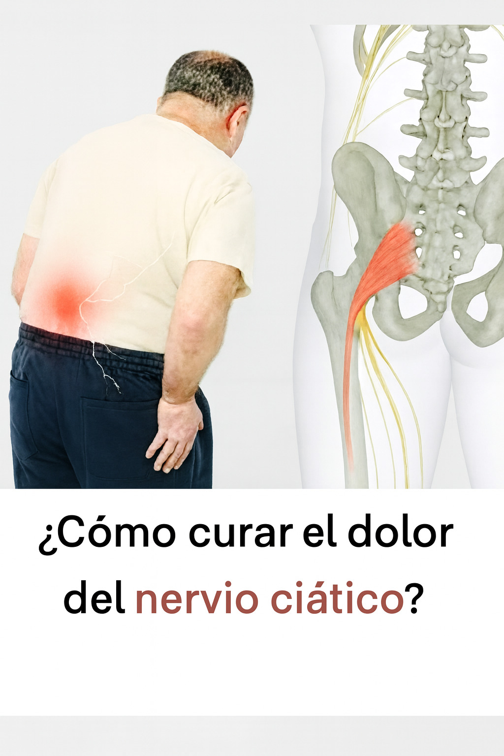 Ab871a0e f51b 47d5 88e4 9f09214b310e