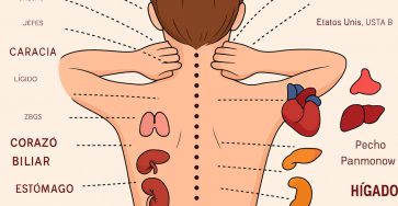 Ac59e94f e070 406e b9ab 22cb742f897d