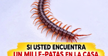 Af951d2d 6875 47b3 9af7 1319fe55d2f5