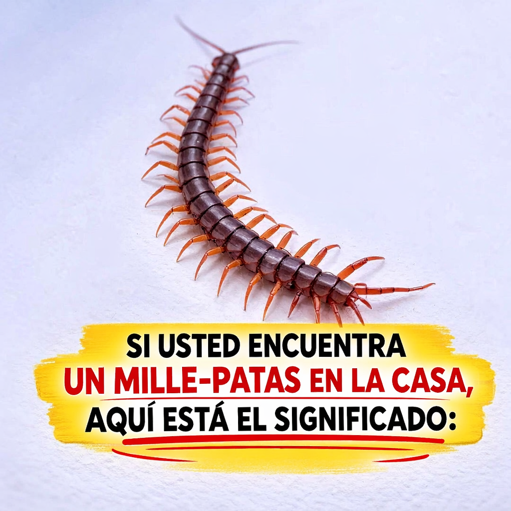 Af951d2d 6875 47b3 9af7 1319fe55d2f5