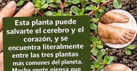 B3d226e1 d51d 41e1 a405 8b974130c505