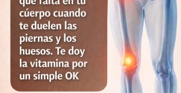 B742dc47 e441 45e0 913c 77e29cad6d04