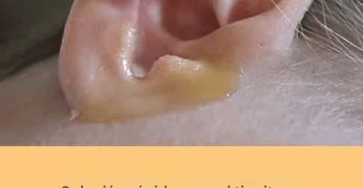 B7834217 f689 4702 aaf4 b1bf9559085d