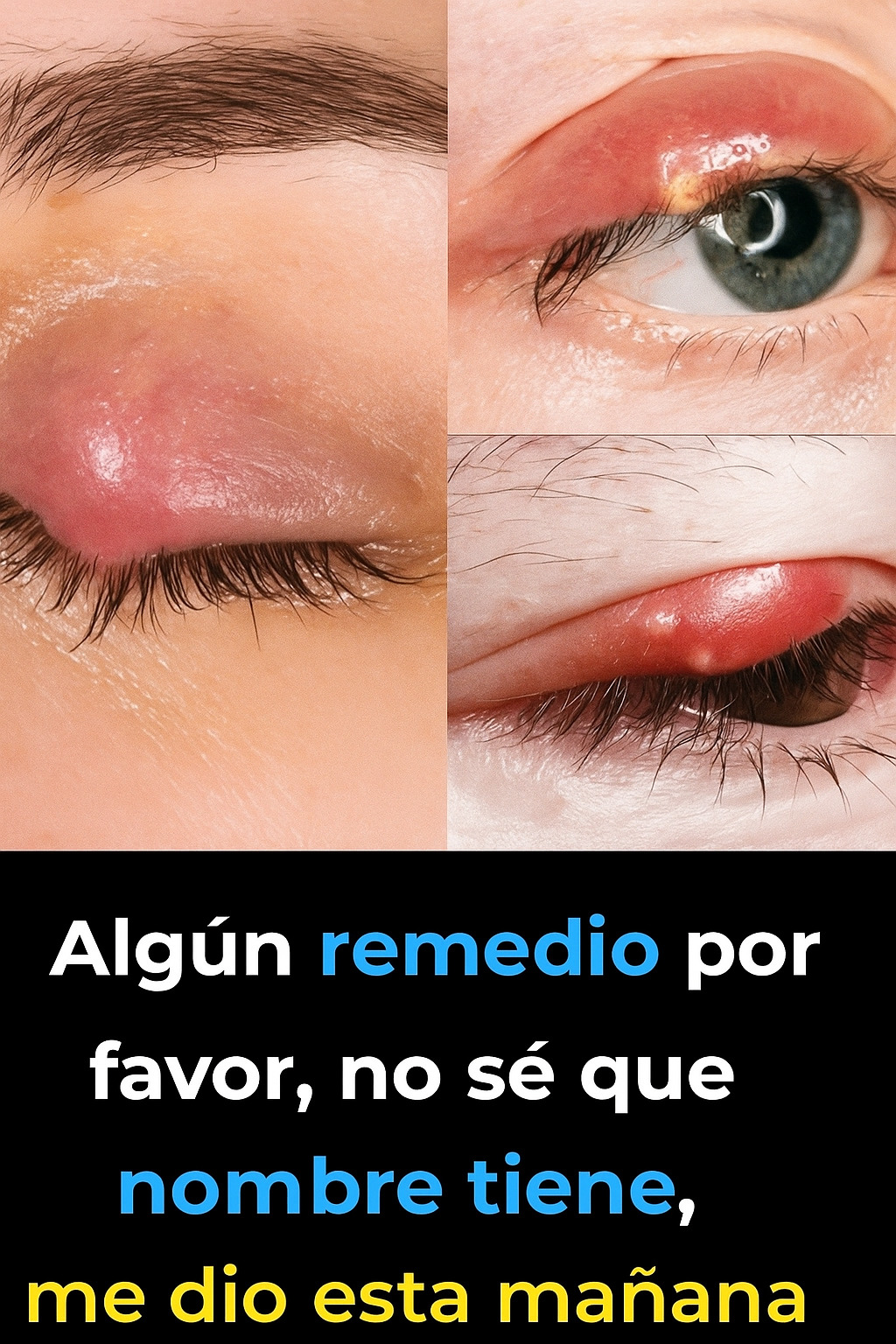 B96f6e45 d65c 4d95 9f9f 3018cd68238f