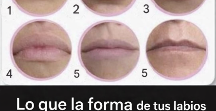 C7553a64 b089 4226 a819 6928d8f3a9e8