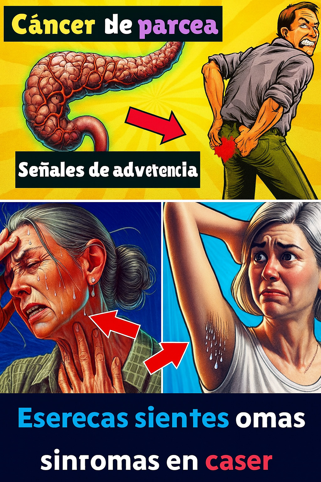 Cb435367 47cd 4a3f 8749 e8237a225292