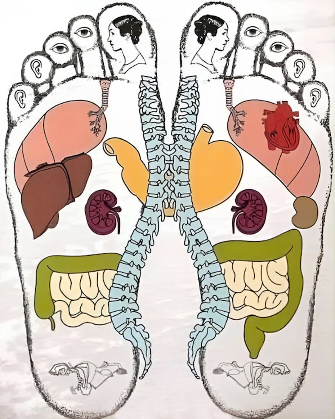 Cc2479f4 3df0 40f9 adbc bb3a3eed0003