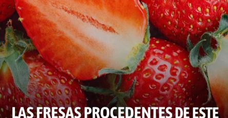 D51dada9 fbcf 4bd0 8eca 559636cf9955