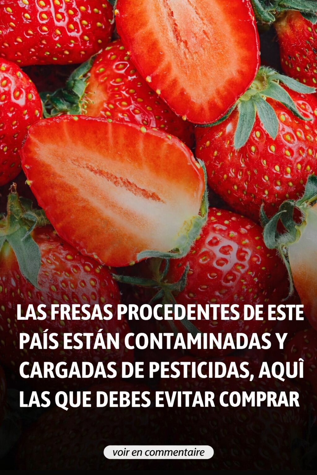 D51dada9 fbcf 4bd0 8eca 559636cf9955