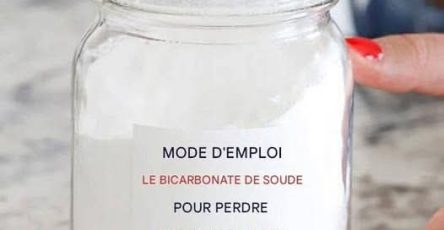 E062c81d abfd 406b ad1e 04132dc38af8