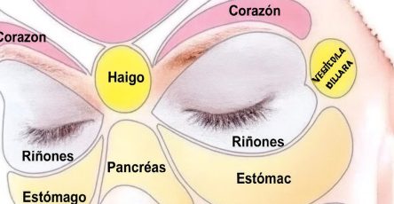 F07c5eda 77ec 4fa7 ad31 323b323ce9aa