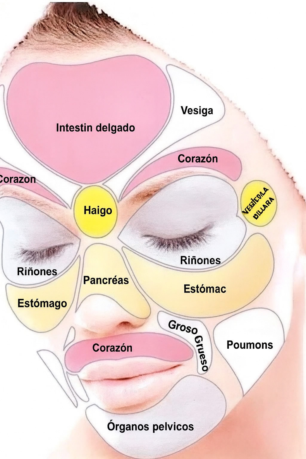 F07c5eda 77ec 4fa7 ad31 323b323ce9aa