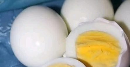 F667f81f 553a 48ff 8322 2f3a09f0d6de