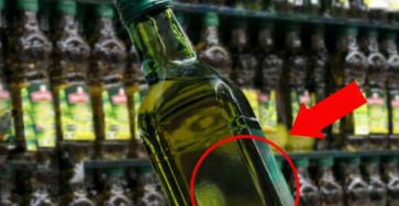 Fb48376b 1f9e 4b78 aa32 fc2bb68e34b0