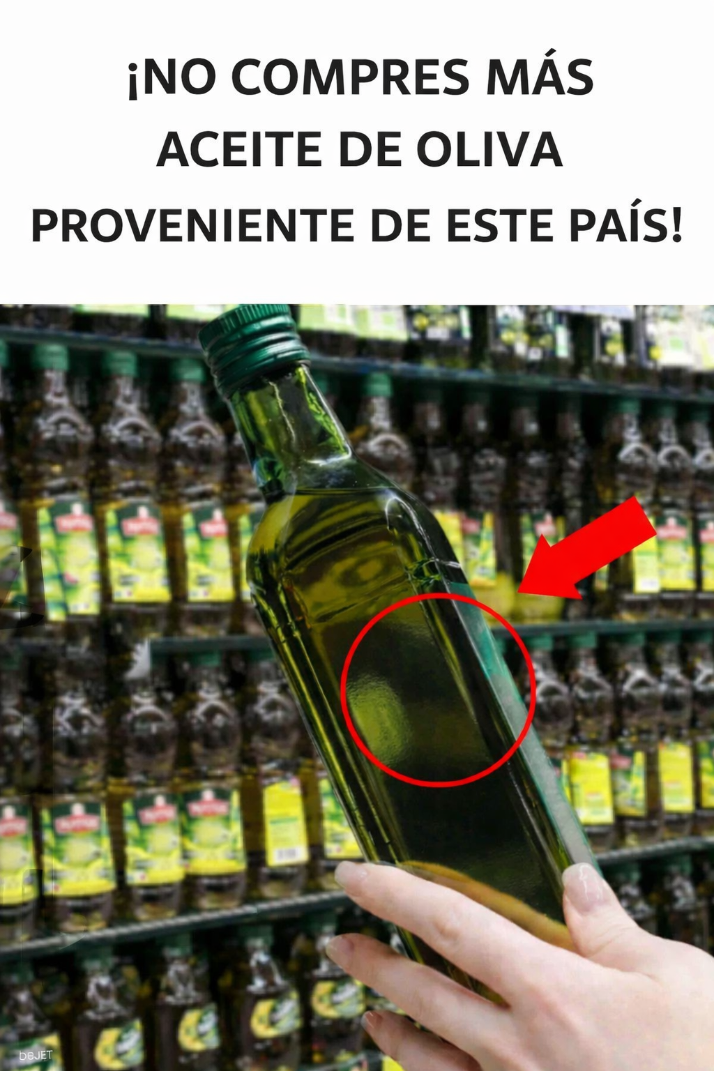 Fb48376b 1f9e 4b78 aa32 fc2bb68e34b0