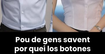 Fd4ebd61 d29c 432e a736 5f8085d6bee9