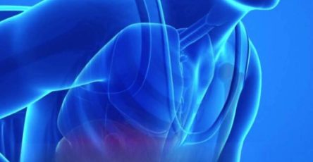 Image81570a13 c491 4df1 b160 afc3e9aea884