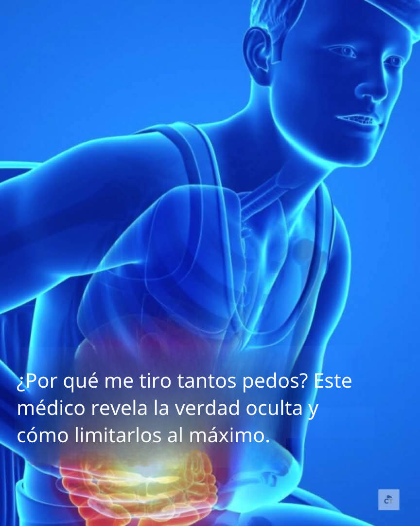 Image81570a13 c491 4df1 b160 afc3e9aea884