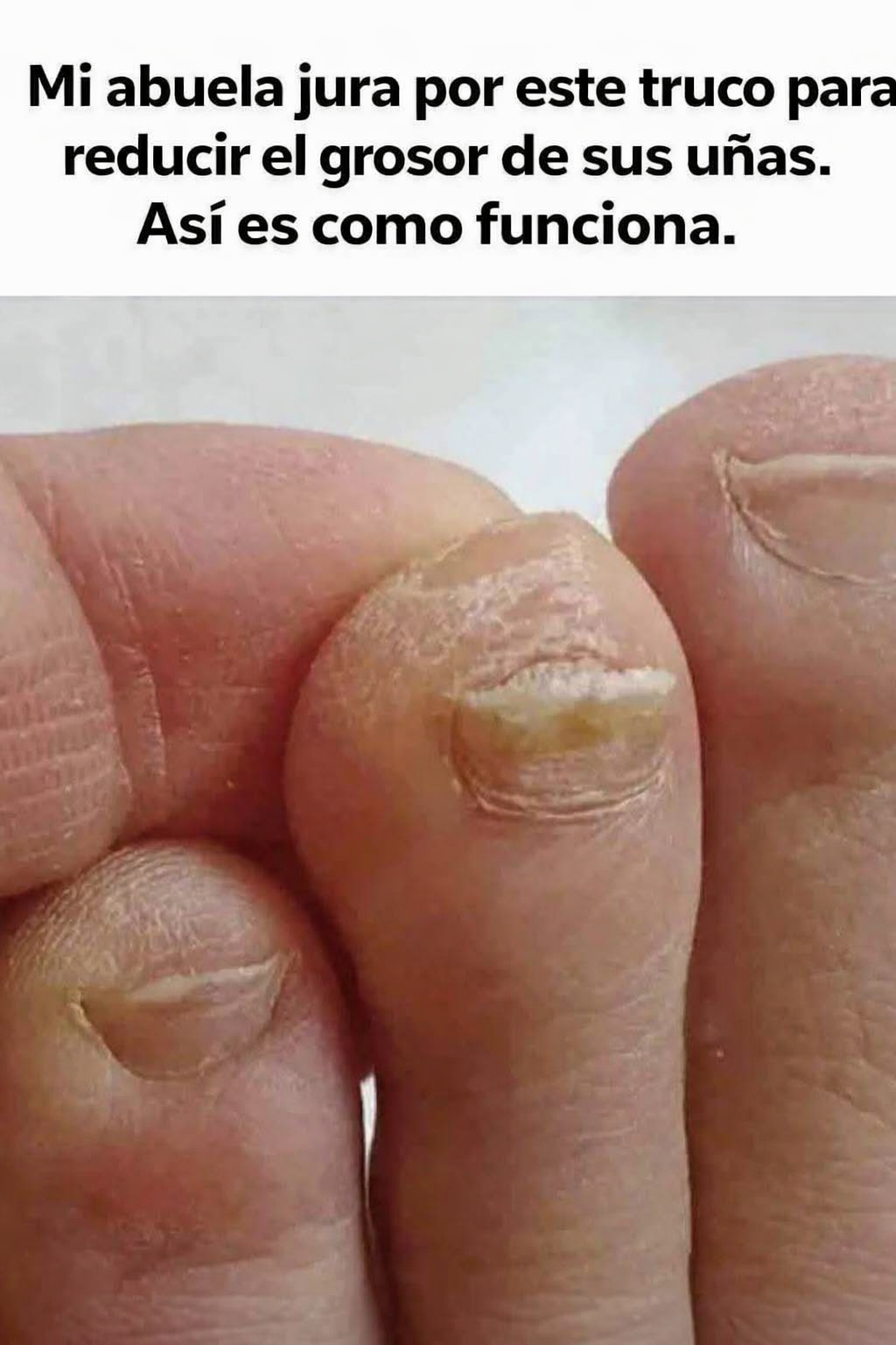 0f7b152a 114c 416c bae5 7f62cd851c7f