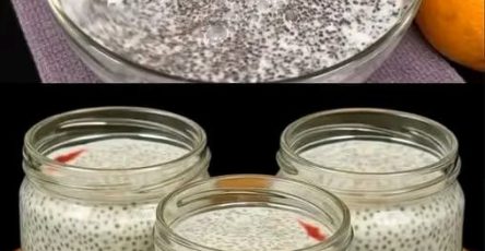 4d1983f2 45d8 4944 80d2 cd5e9bfe24f0