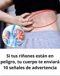 564604417 122154435164629176 6441413511948525290 n