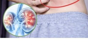 564604417 122154435164629176 6441413511948525290 n