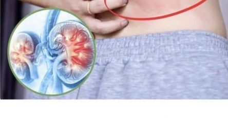 564604417 122154435164629176 6441413511948525290 n