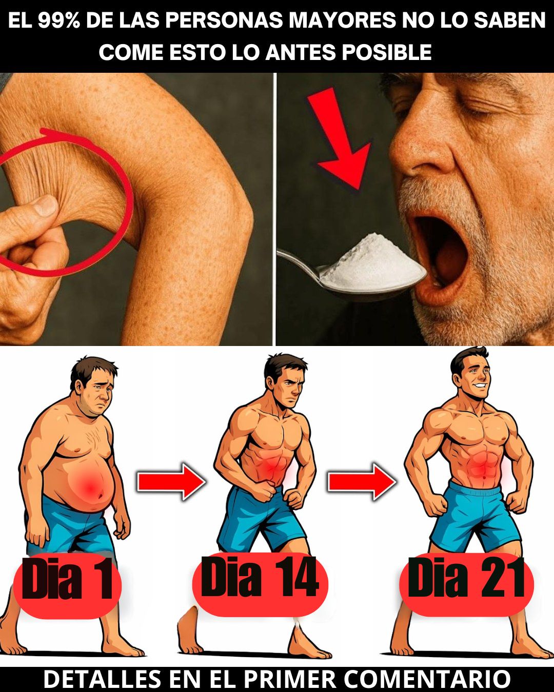 590325649 122141147162943773 4807280722661045887 n