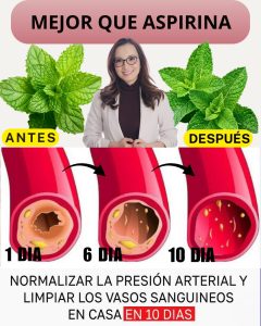 595298305 122143401398943773 2705828521861217344 n (1)