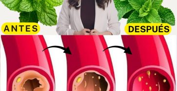 595298305 122143401398943773 2705828521861217344 n (1)