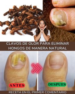 605346316 122145354986943773 1337133260632253598 n