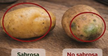 616821796 1354275656743062 2584798080687476671 n