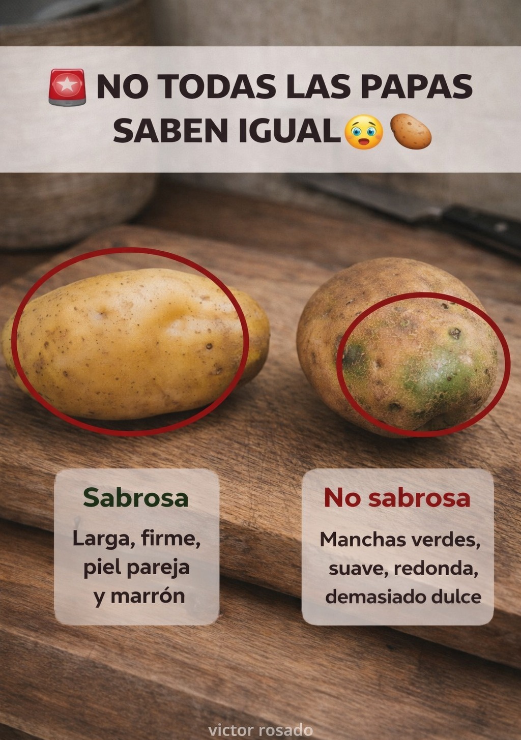 616821796 1354275656743062 2584798080687476671 n